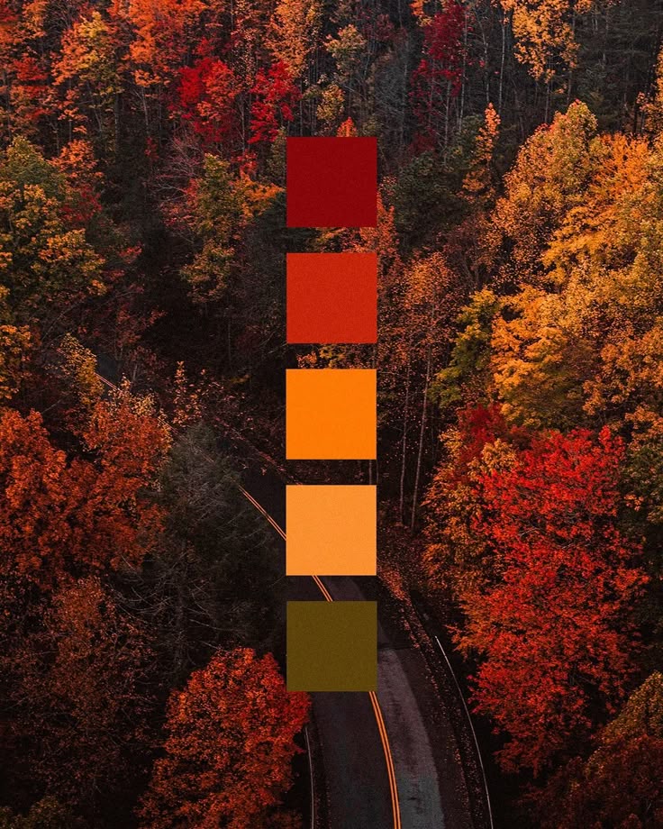 colores otoño